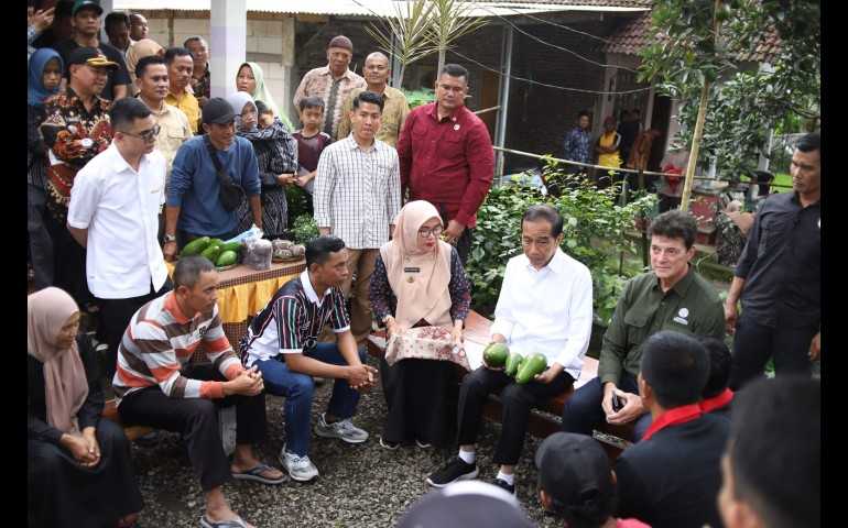 Jokowi Dorong Petani Desa Peron Kendal Tingkatkan Kualitas Alpokat dan Gula Merah