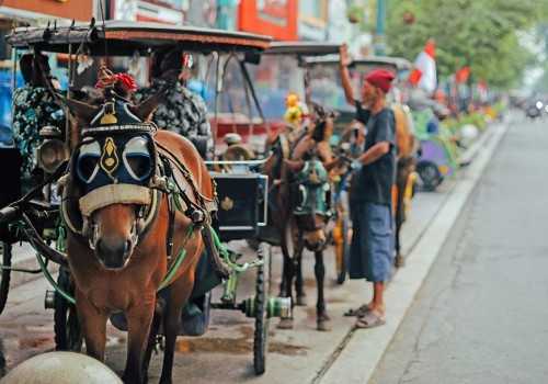 Swiss-Belhotel Airport Yogyakarta Angkat Pesona Kulon Progo Lewat Paket Liburan Berkesan