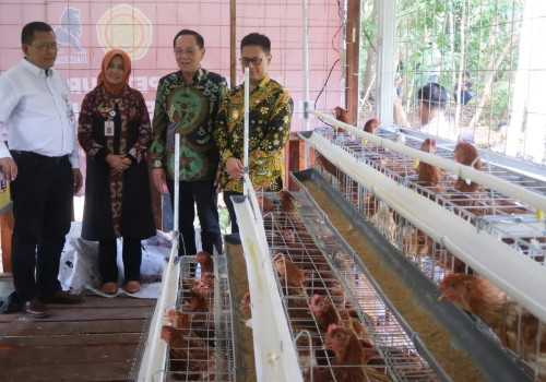Komitmen PT Charoen Pokphand Indonesia dalam Meningkatkan Ketahanan Pangan Lewat Program Hibah Kandang Ayam Petelur