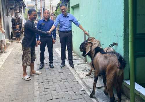 Gets Premiere Semarang Tebar Manfaat Idul Adha, Perkuat Ikatan Sosial Lewat Hewan Qurban