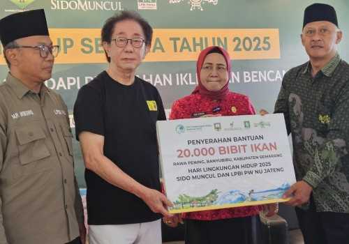 Aksi Nyata Sido Muncul, Pulihkan Rawa Pening dengan Tebar Bibit Ikan