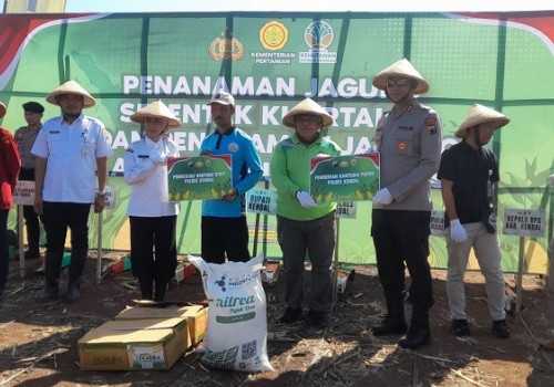 Dukung Ketahanan Pangan, Kapolres Kendal Bersama Bupati Kendal Tanam Jagung
