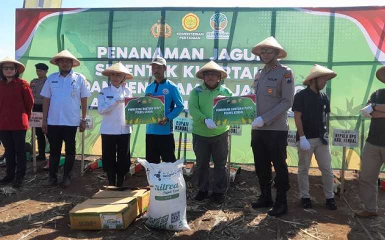 Dukung Ketahanan Pangan, Kapolres Kendal Bersama Bupati Kendal Tanam Jagung