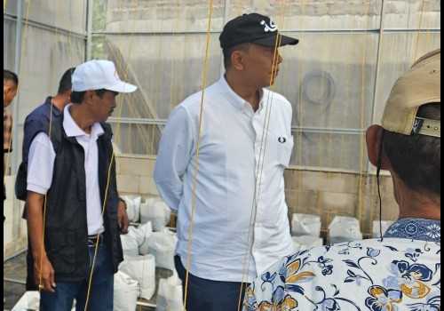 Green House Batursari Diresmikan, Anggota Komisi D DPRD Jateng H. Siswanto Tekankan Pentingnya Ekonomi Kreatif dan UMKM