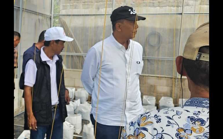 Green House Batursari Diresmikan, Anggota Komisi D DPRD Jateng H. Siswanto Tekankan Pentingnya Ekonomi Kreatif dan UMKM