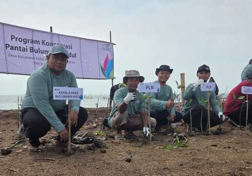 PLN UIP JBT Serahkan 1.900 Bibit Pohon untuk Konservasi Pantai di Pati: Energi Hijau bagi Masyarakat