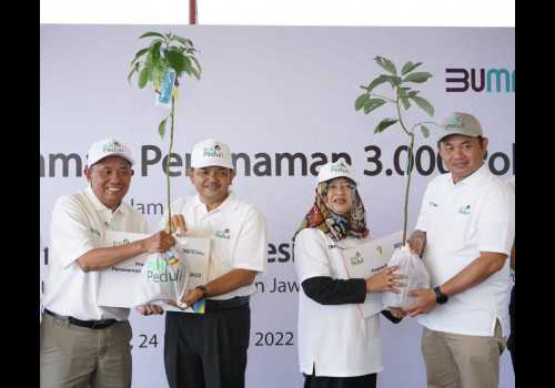 Aksi Nyata Tangani Perubahan Iklim, PLN Peduli Serahkan 3.000 Pohon di Hari Menanam Pohon Indonesia