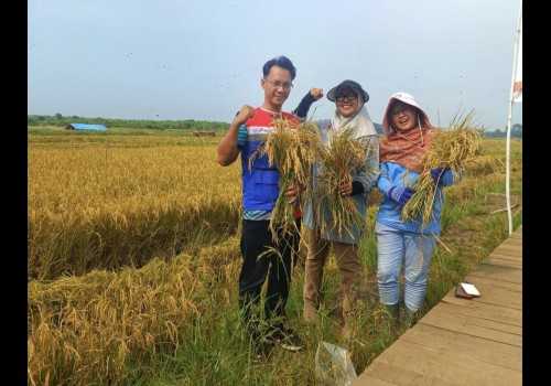 Lewat Program CSR, PGN Aktif dalam Pemberdayaan Ekonomi Masyarakat dan Pelestarian Lingkungan