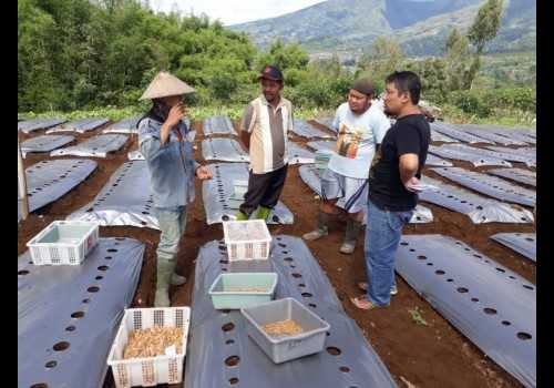 Inovasi Alat Pengendali Hama UDINUS Dorong Produktivitas Petani Hortikultura di Dieng