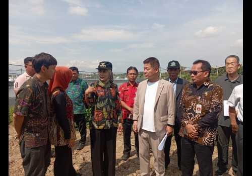 Walikota Jepang Sue Machi Tinjau Tambak Udang Vaname di Kendal, Bahas Peluang Ekspor ke Negeri Sakura
