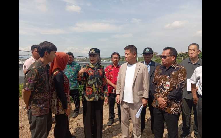 Walikota Jepang Sue Machi Tinjau Tambak Udang Vaname di Kendal, Bahas Peluang Ekspor ke Negeri Sakura