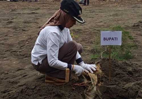 Bupati Kendal Dyah Kartika Pimpin Aksi Bersih Pantai Indah Kemangi Peringati Hari Peduli Sampah Nasional 2026