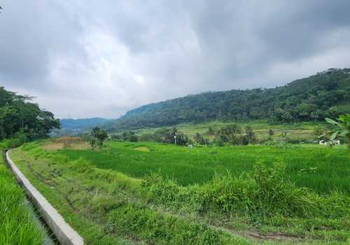 Dari Sungai hingga Seni Tradisi, Desa Duren Bersiap Menjadi Destinasi Wisata Unggulan Bersama PLN Peduli