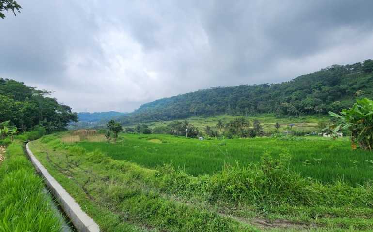 Dari Sungai hingga Seni Tradisi, Desa Duren Bersiap Menjadi Destinasi Wisata Unggulan Bersama PLN Peduli