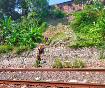 Antisipasi Longsor Di Musim Hujan Kai Daop Tanam Rumput Akar Wangi